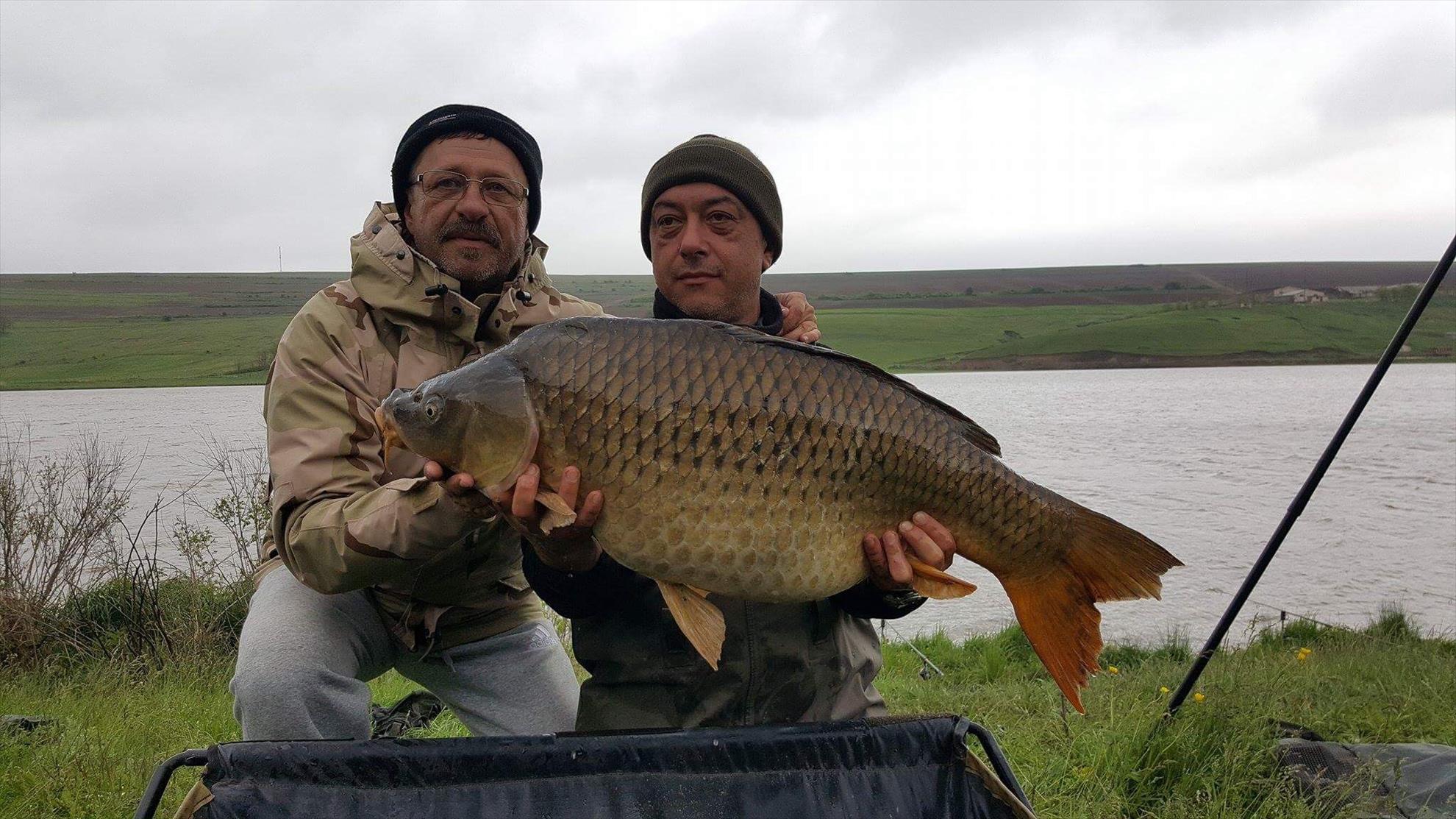 Horgesti 2017 - img1320.JPG